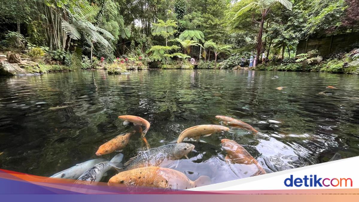 Apa Yah: Dunia Hiburan yang Menyatu dengan Alam Cilacap